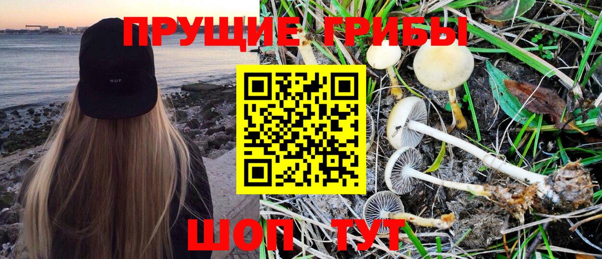 Псилоцибиновые грибы MAGIC MUSHROOMS  Вход с VPN  Губкин 