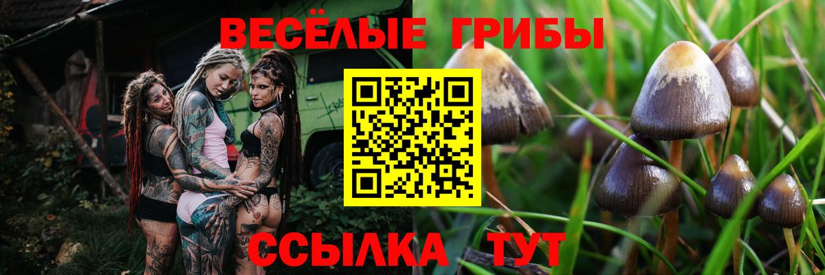 Галлюциногенные грибы ЛСД Губкин