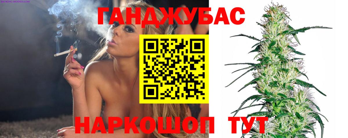 Бошки Шишки планчик  Бошки марихуана Bruce Banner  Каннабис конопля  Губкин  Вход с VPN 