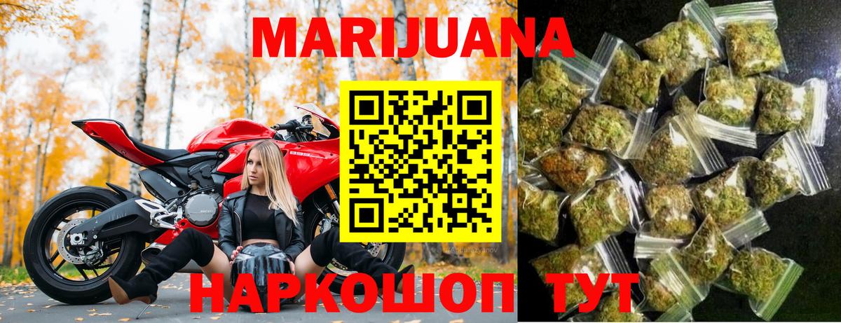 Бошки Шишки планчик Губкин